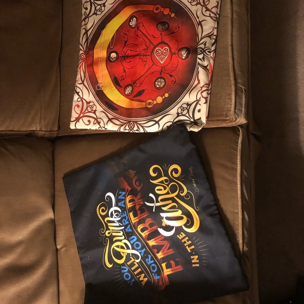 🎃Pillowcases Based on 2 Book Series- 421 $35 Or $30 w/offer
